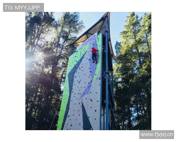 张秀英亲述攀岩技巧与心路历程分享攀登之美与挑战