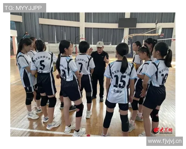 排球团队协作实力榜单揭晓北京排球队荣获第五名佳绩